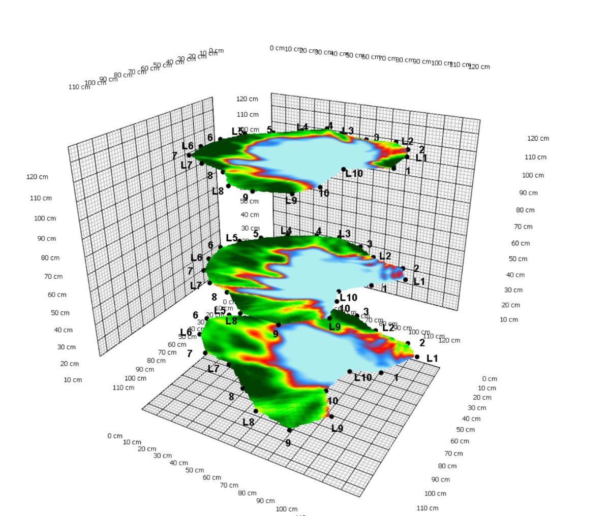 Stacked three dimensional tomography layers through a tree stem